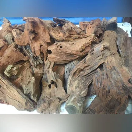 Madagascar Driftwood