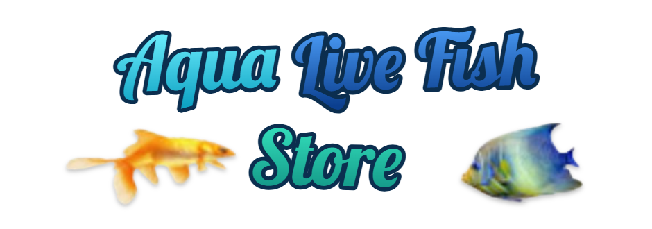 Aqua Live Fish Store